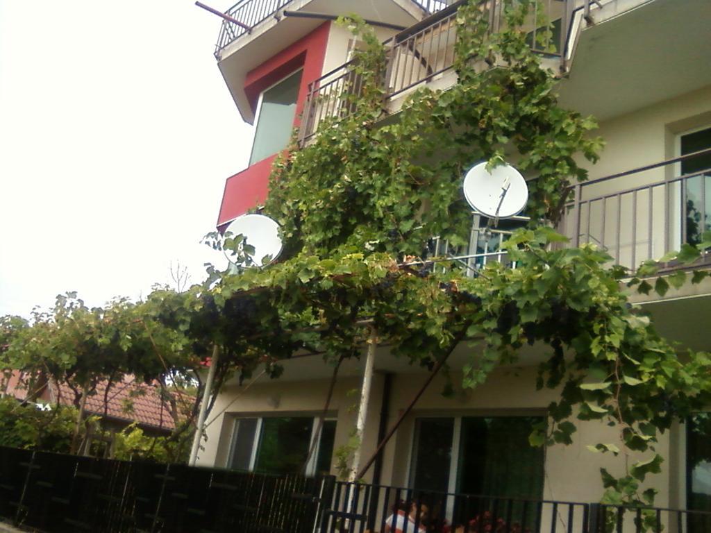 Villa Sunny Hill Fish Fish Exterior foto